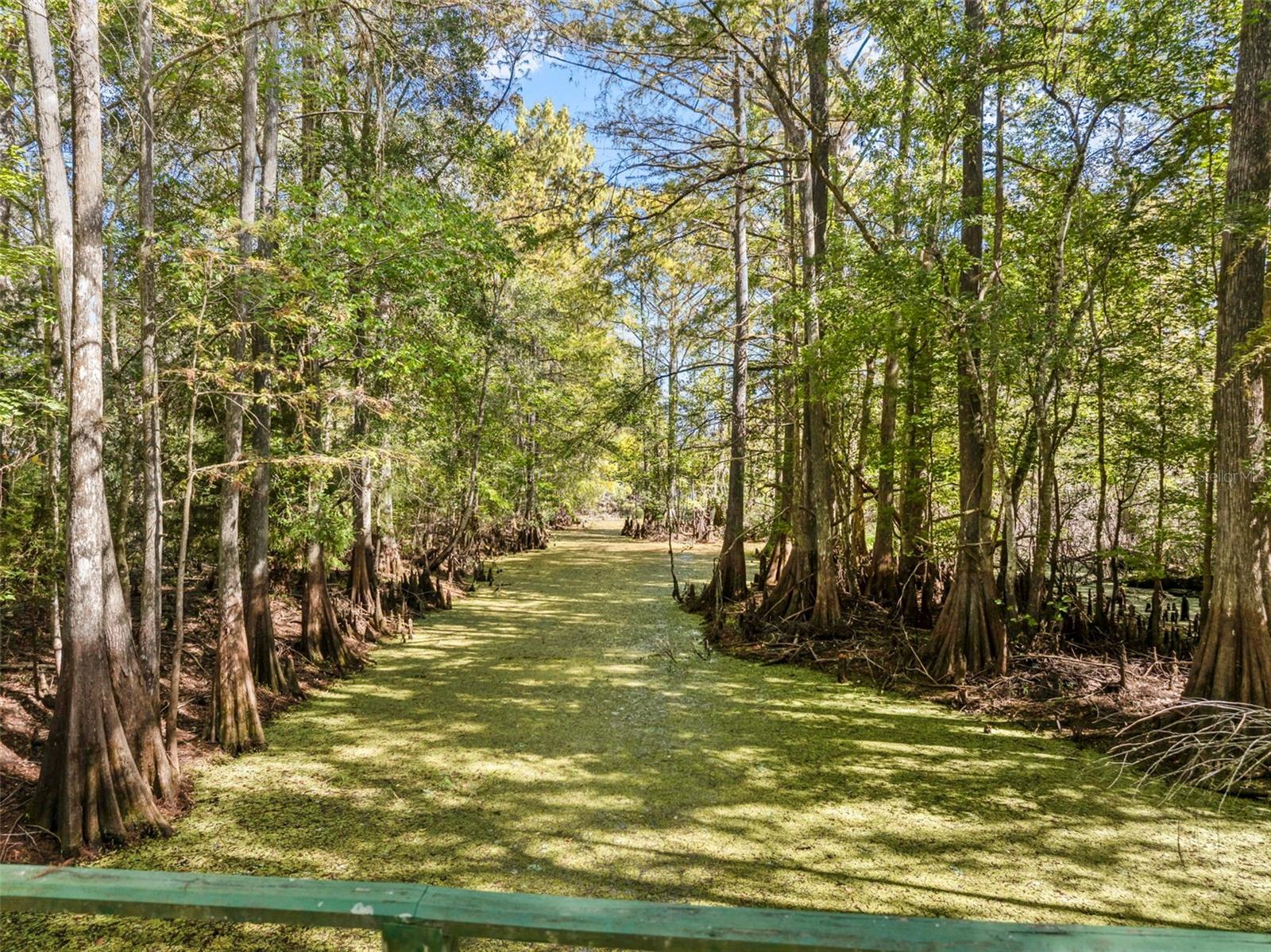 Image 47 of 80 For 10750 Sybil Court