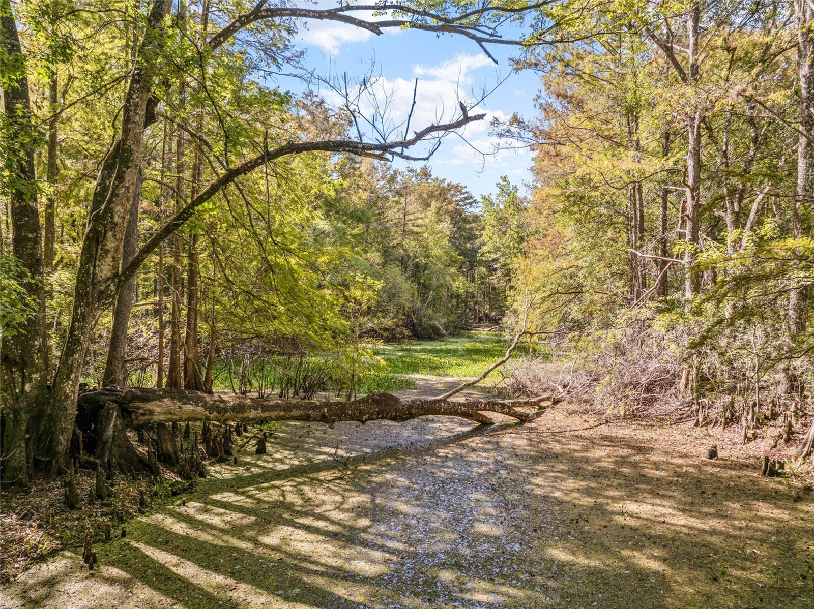 Image 48 of 80 For 10750 Sybil Court