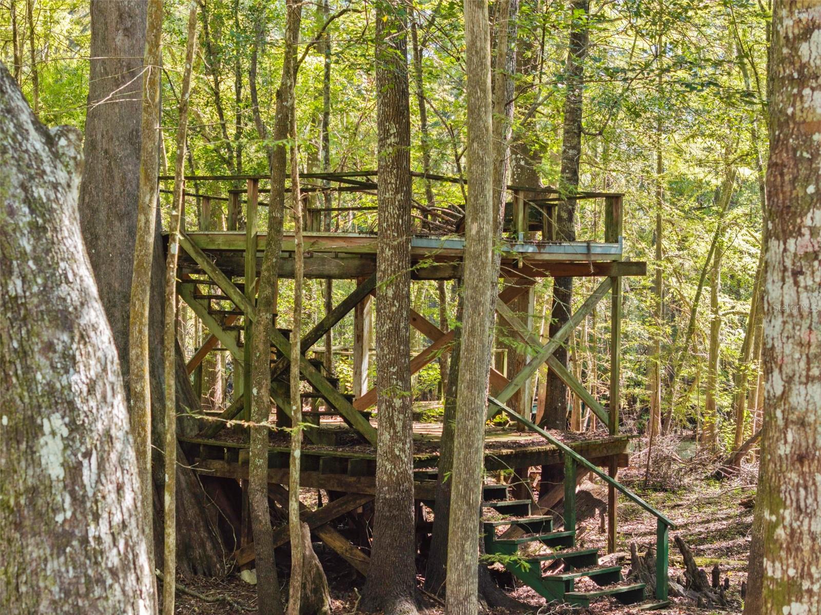 Image 49 of 80 For 10750 Sybil Court