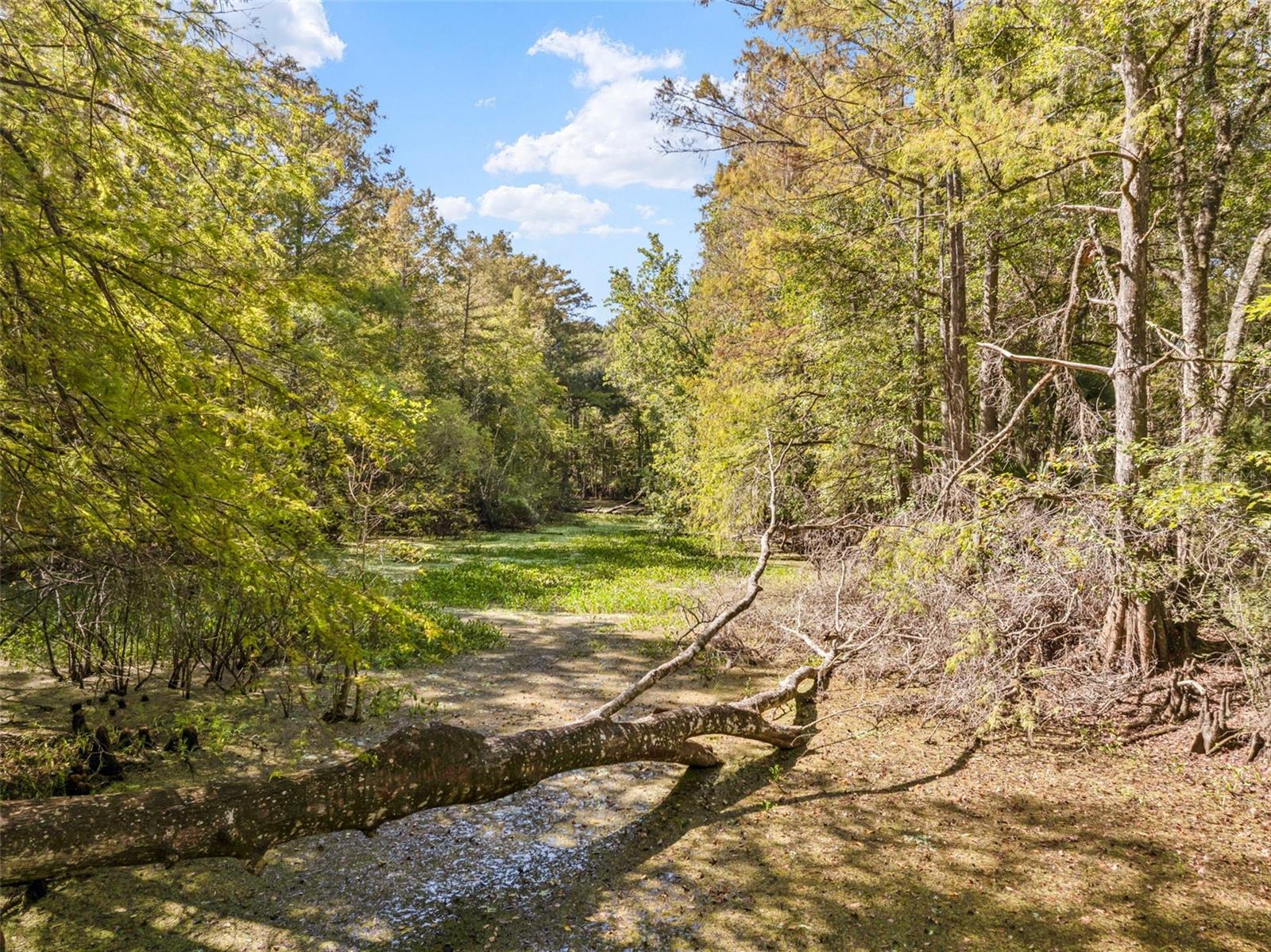 Image 50 of 80 For 10750 Sybil Court