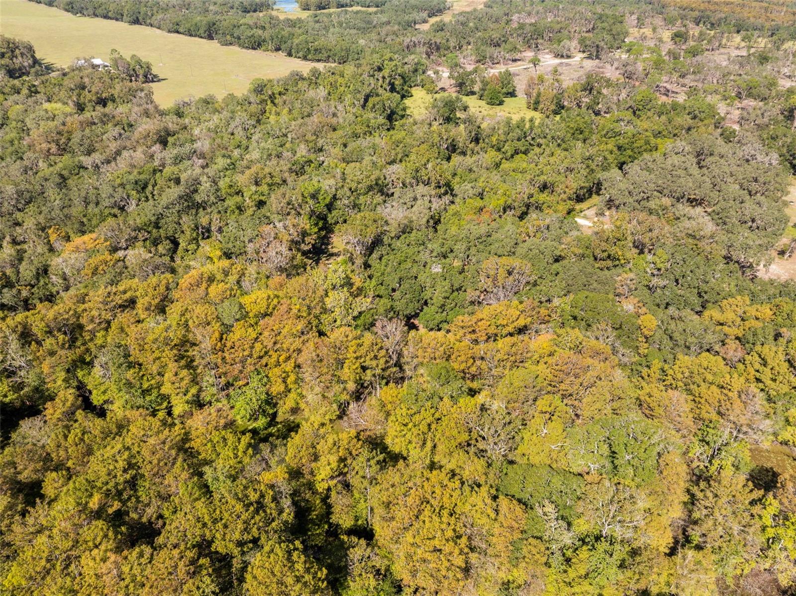 Image 53 of 80 For 10750 Sybil Court