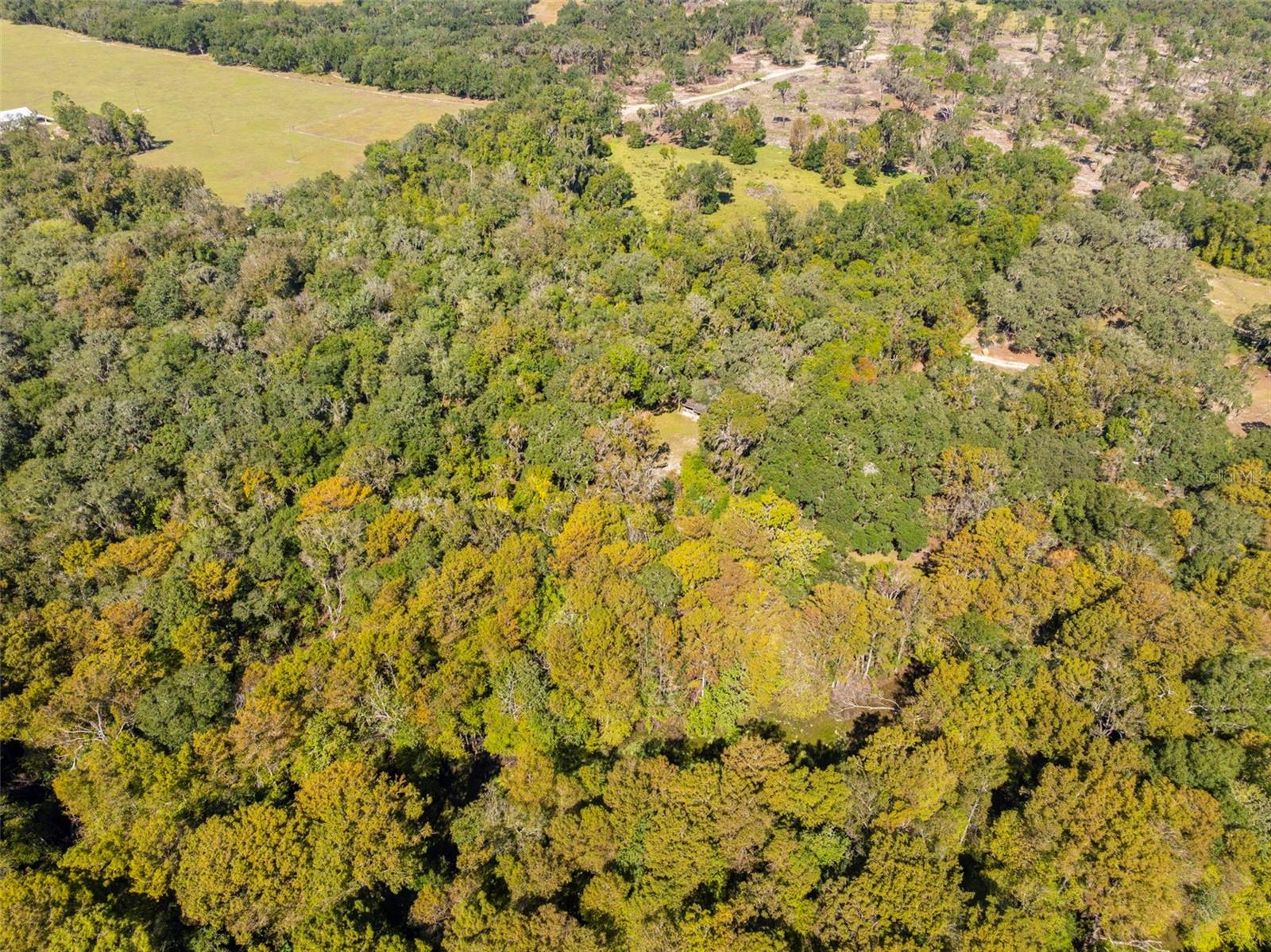 Image 55 of 80 For 10750 Sybil Court