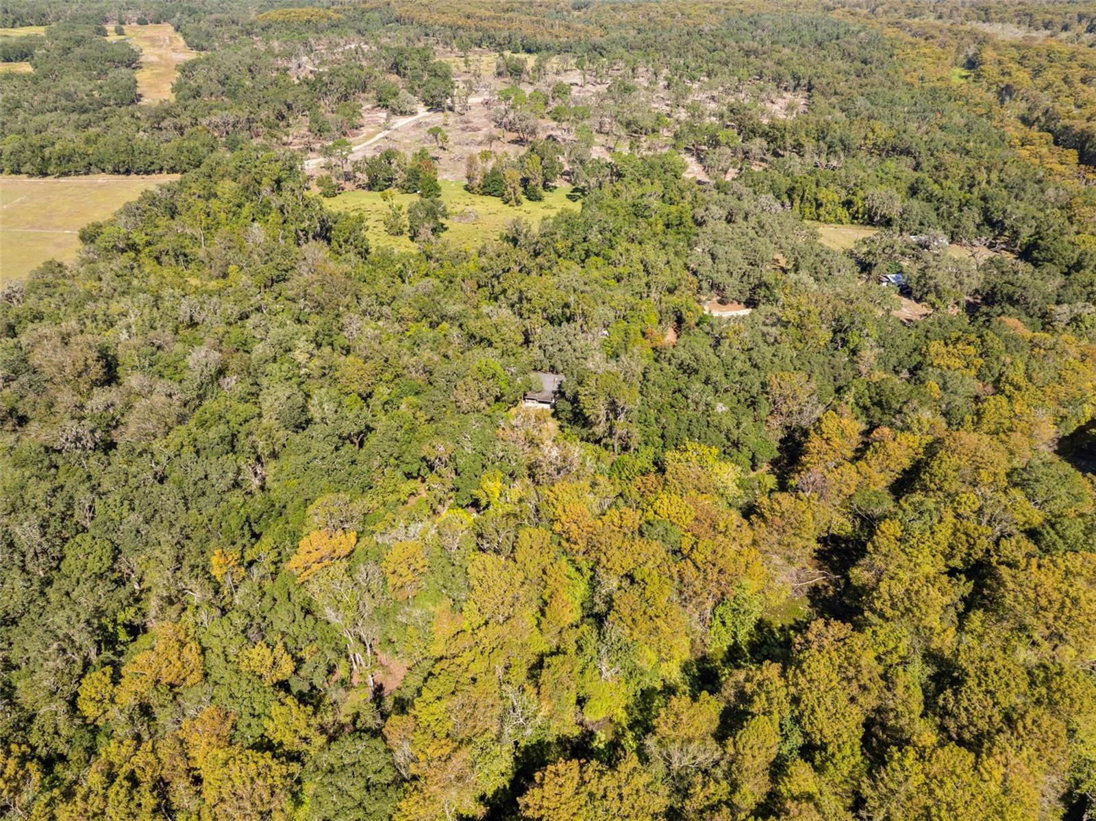 Image 58 of 80 For 10750 Sybil Court