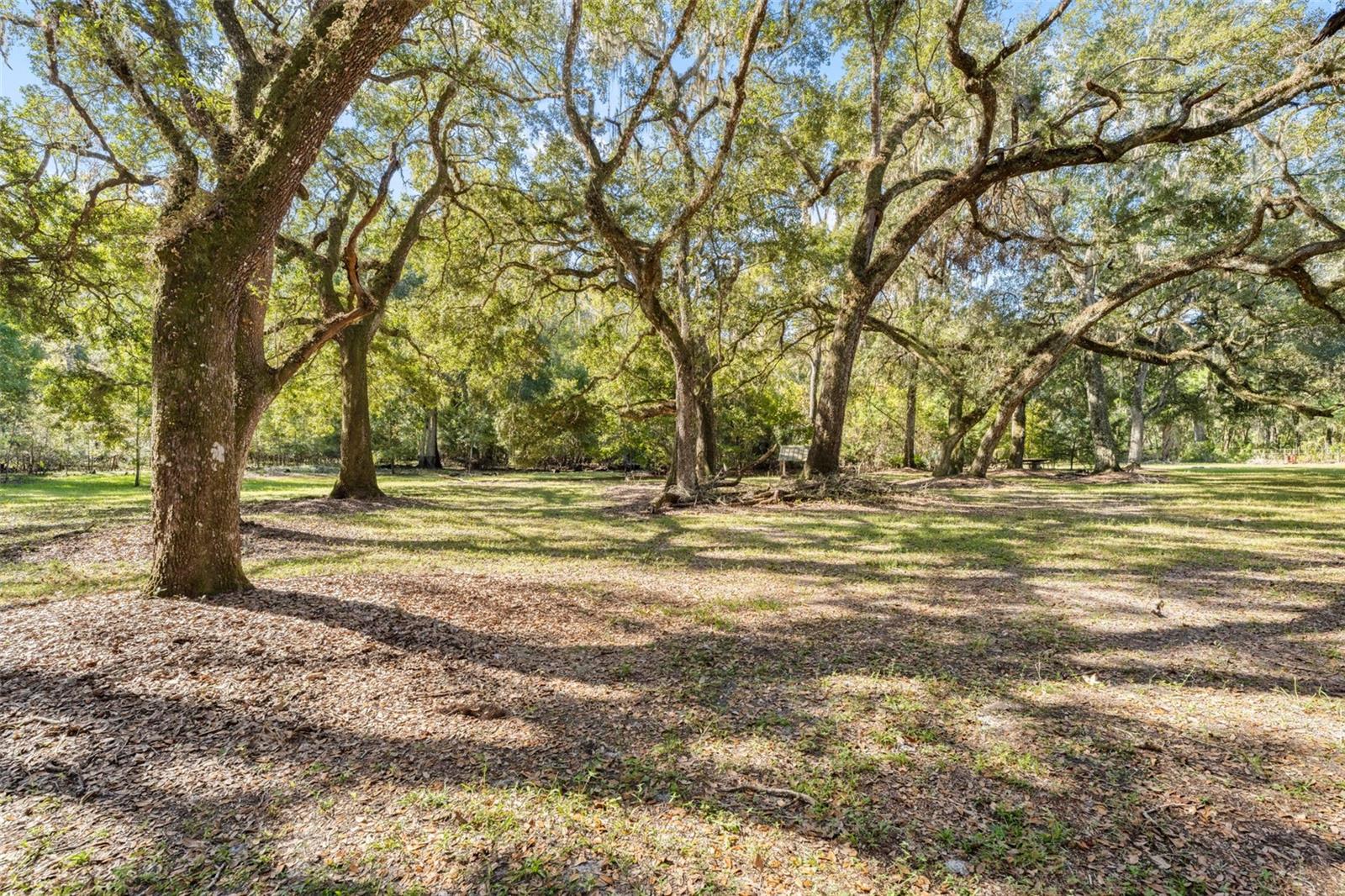 Image 65 of 80 For 10750 Sybil Court