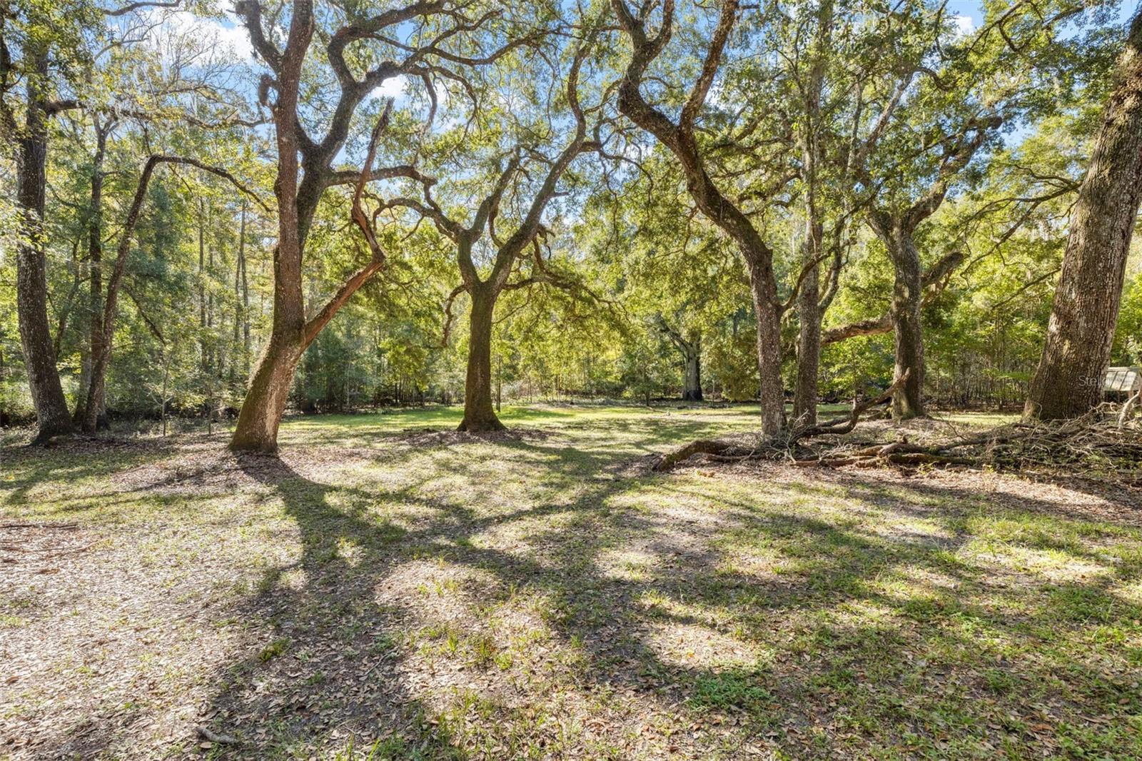 Image 66 of 80 For 10750 Sybil Court