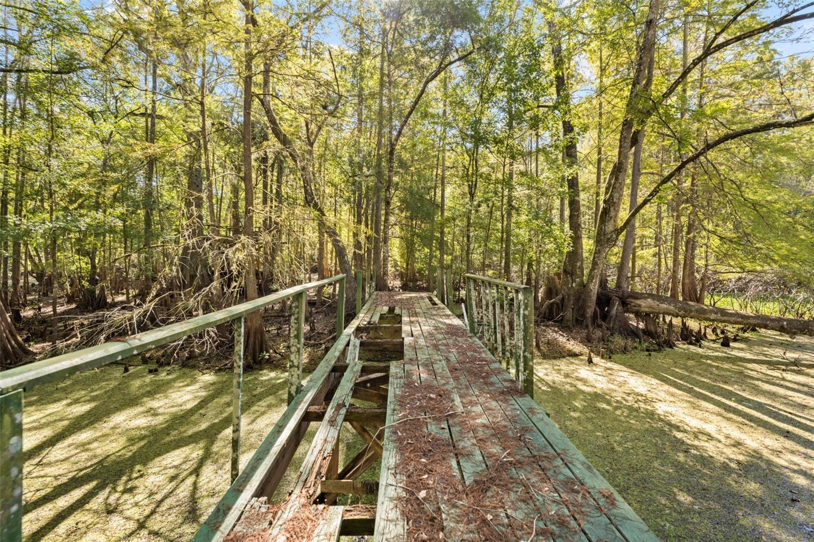 Image 77 of 80 For 10750 Sybil Court