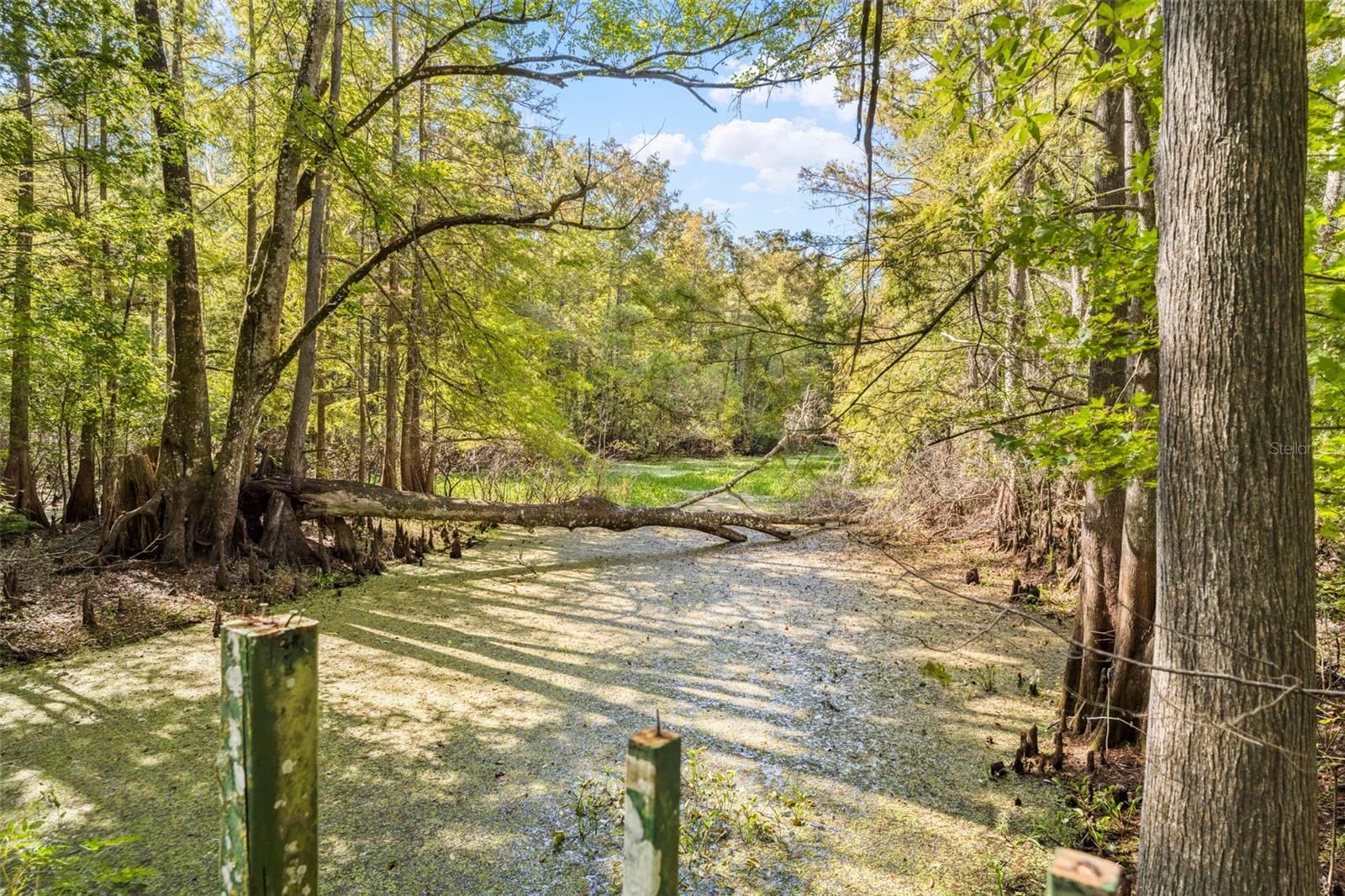 Image 78 of 80 For 10750 Sybil Court