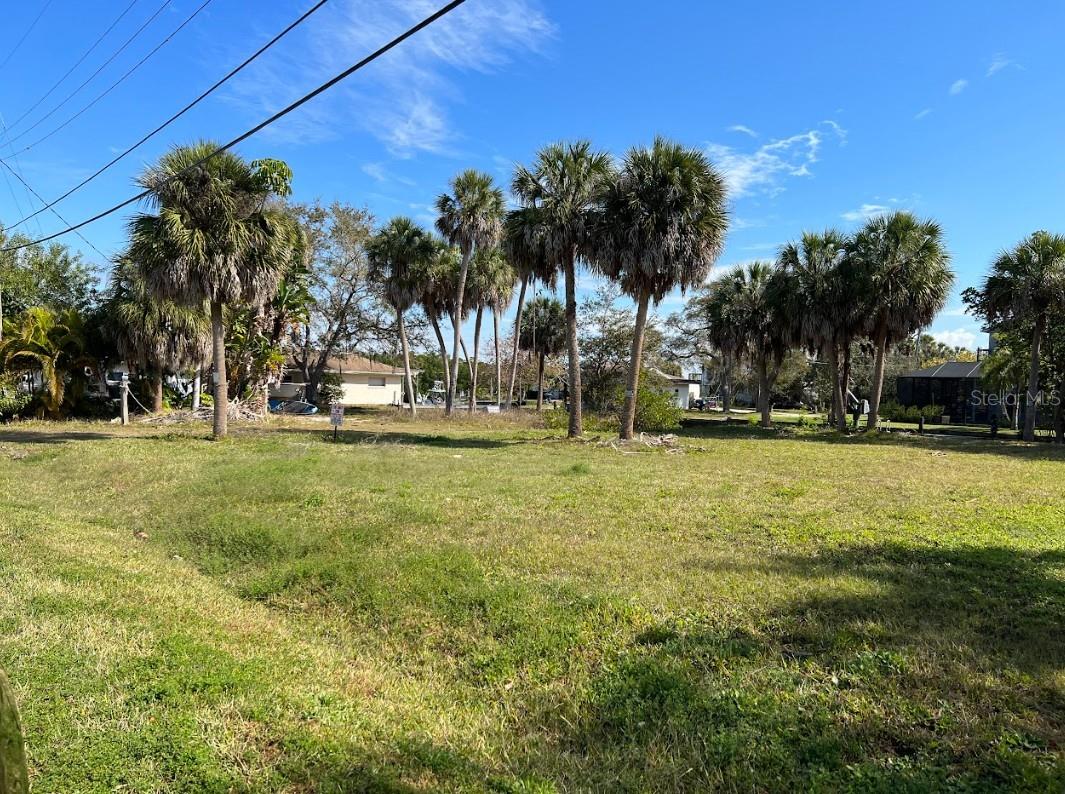 Image 8 of 14 For Canal Street