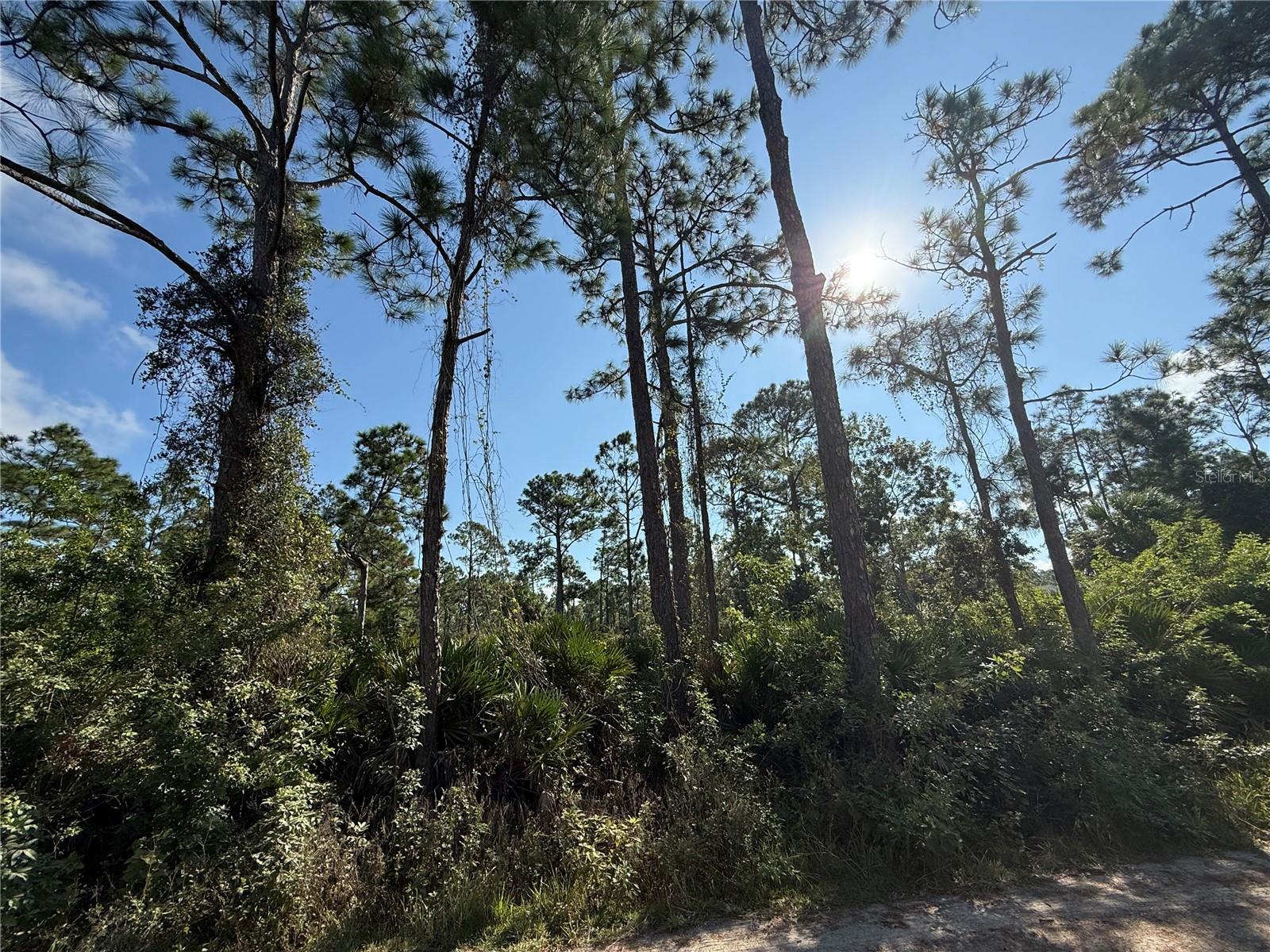 Details for 7142 Acorn Boulevard, PUNTA GORDA, FL 33982
