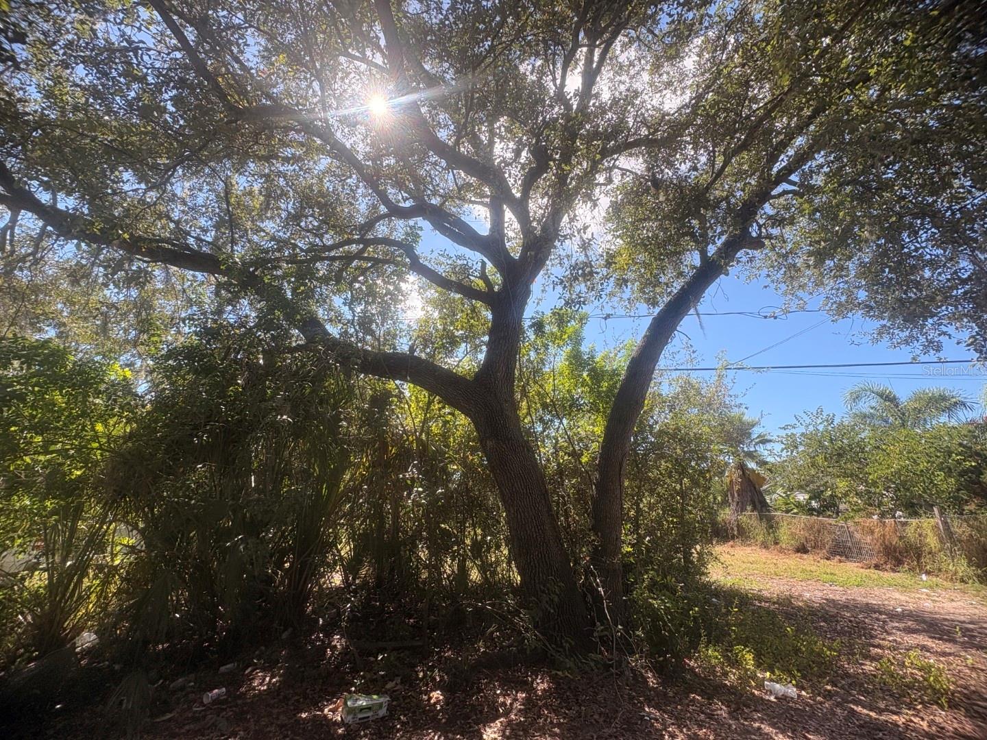 Image 2 of 8 For 2603 Goldwyn Drive