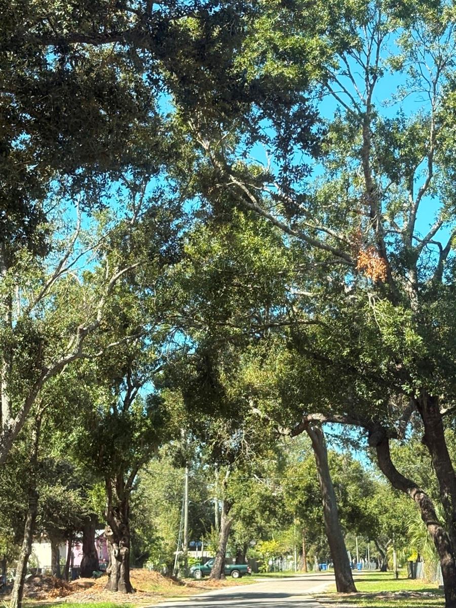 Image 8 of 8 For 2603 Goldwyn Drive