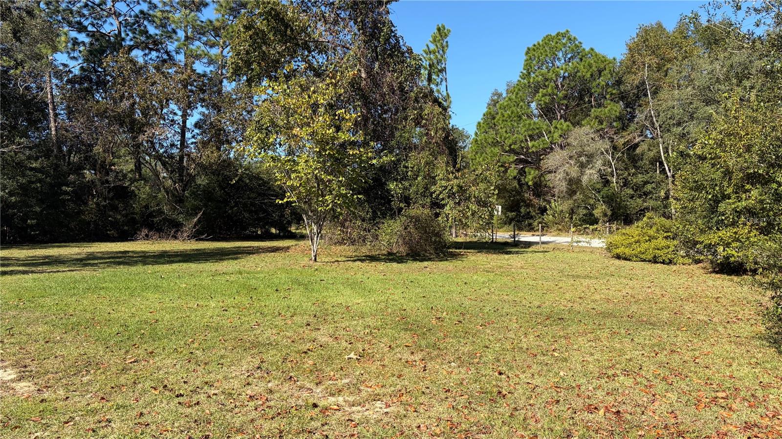 Image 4 of 52 For 10690 100th Lane