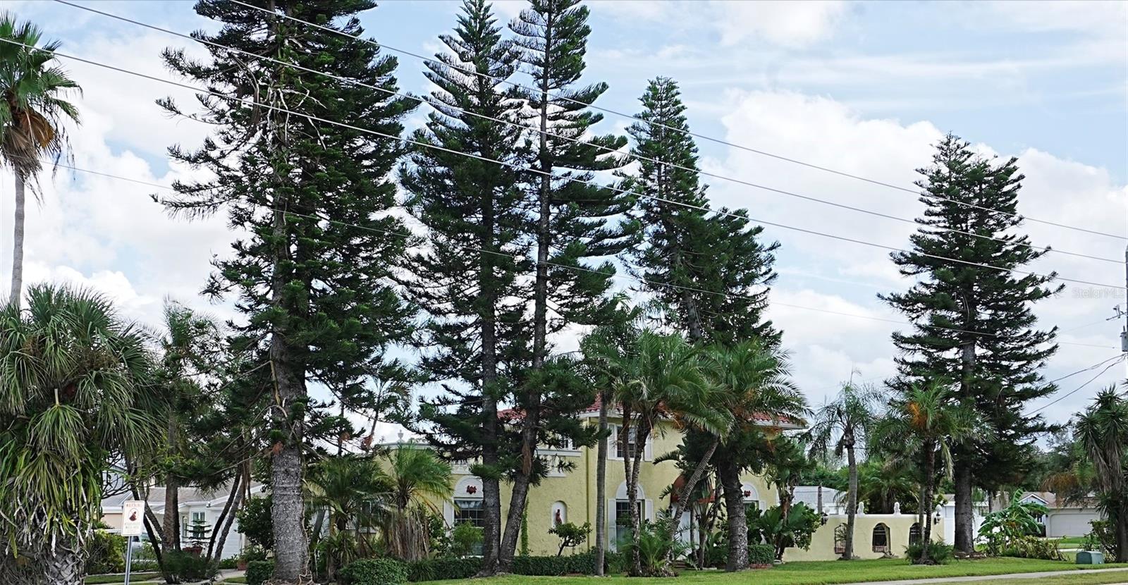 Image 25 of 34 For 305 Gulf Blvd