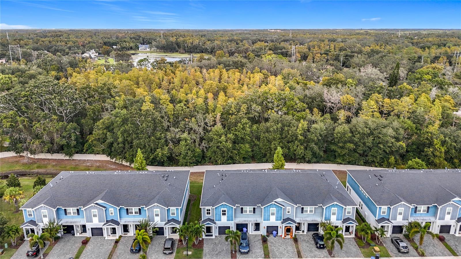 Image 3 of 61 For 2881 Grand Kemerton Place