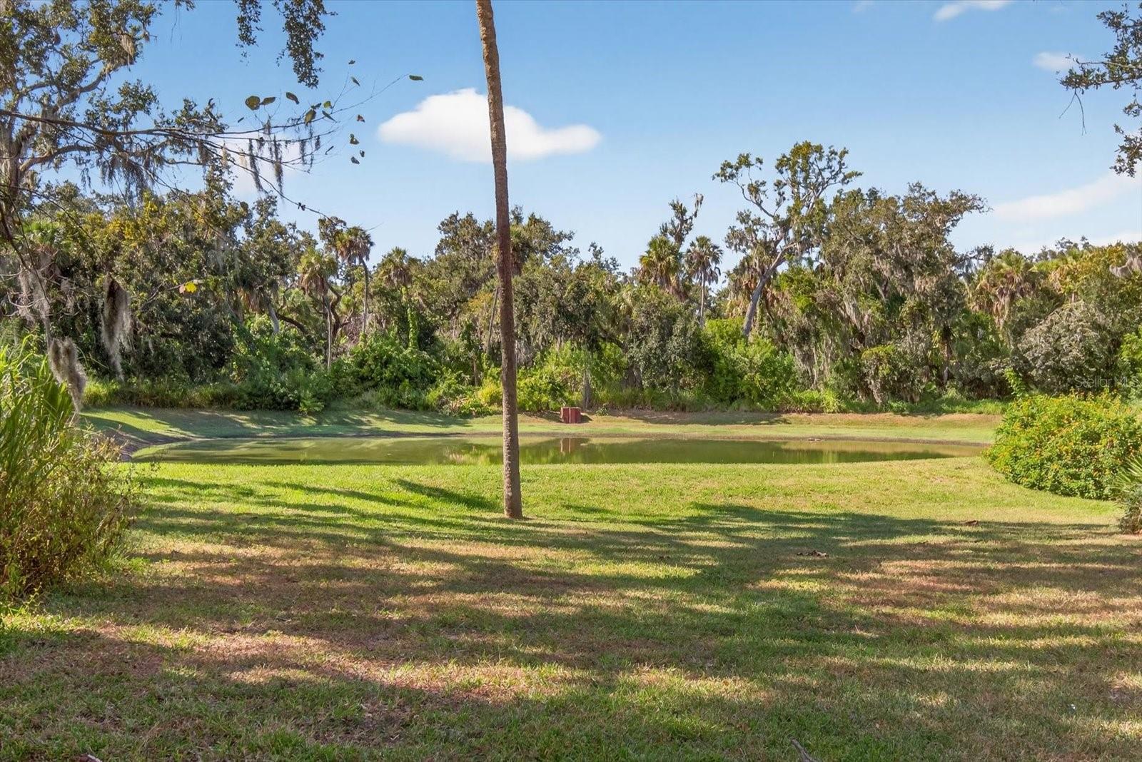 Image 60 of 77 For 5507 31st Court E