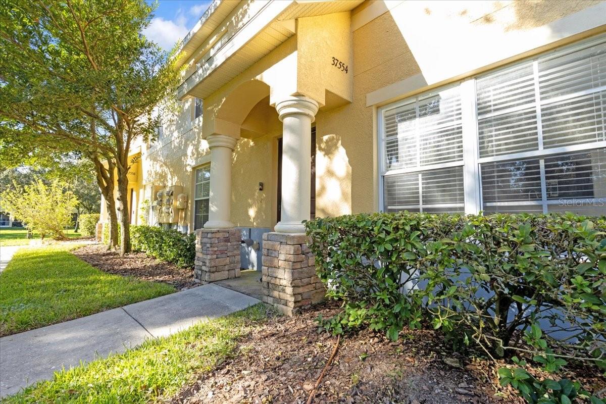 Details for 37554 Daliha Terrace, ZEPHYRHILLS, FL 33542