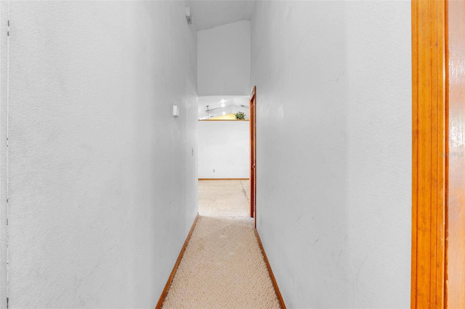 Image 20 of 47 For 1921 Carolyn Court