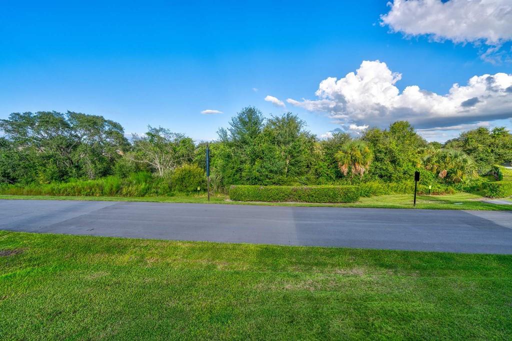 Image 47 of 50 For 17521 Blessing Drive