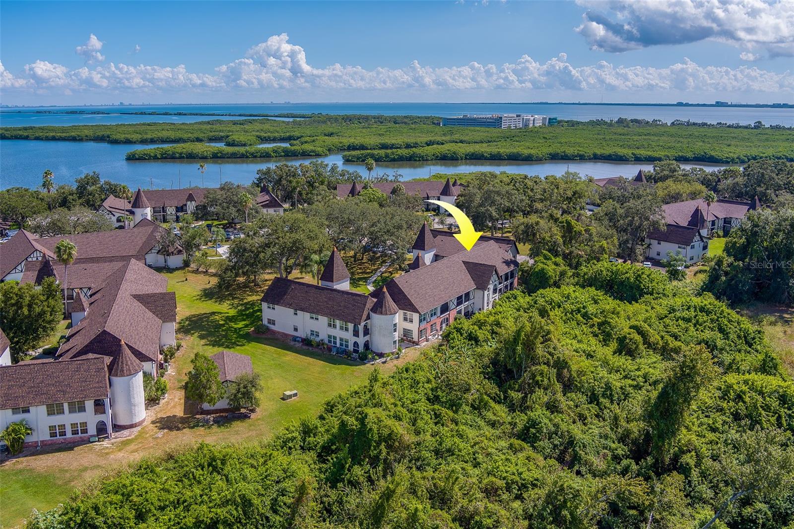 Image 29 of 42 For 240 Bayshore Boulevard 204