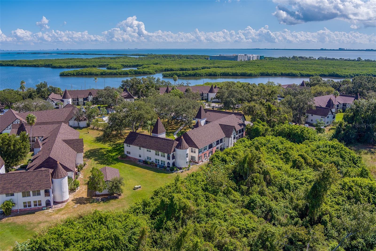 Image 30 of 42 For 240 Bayshore Boulevard 204