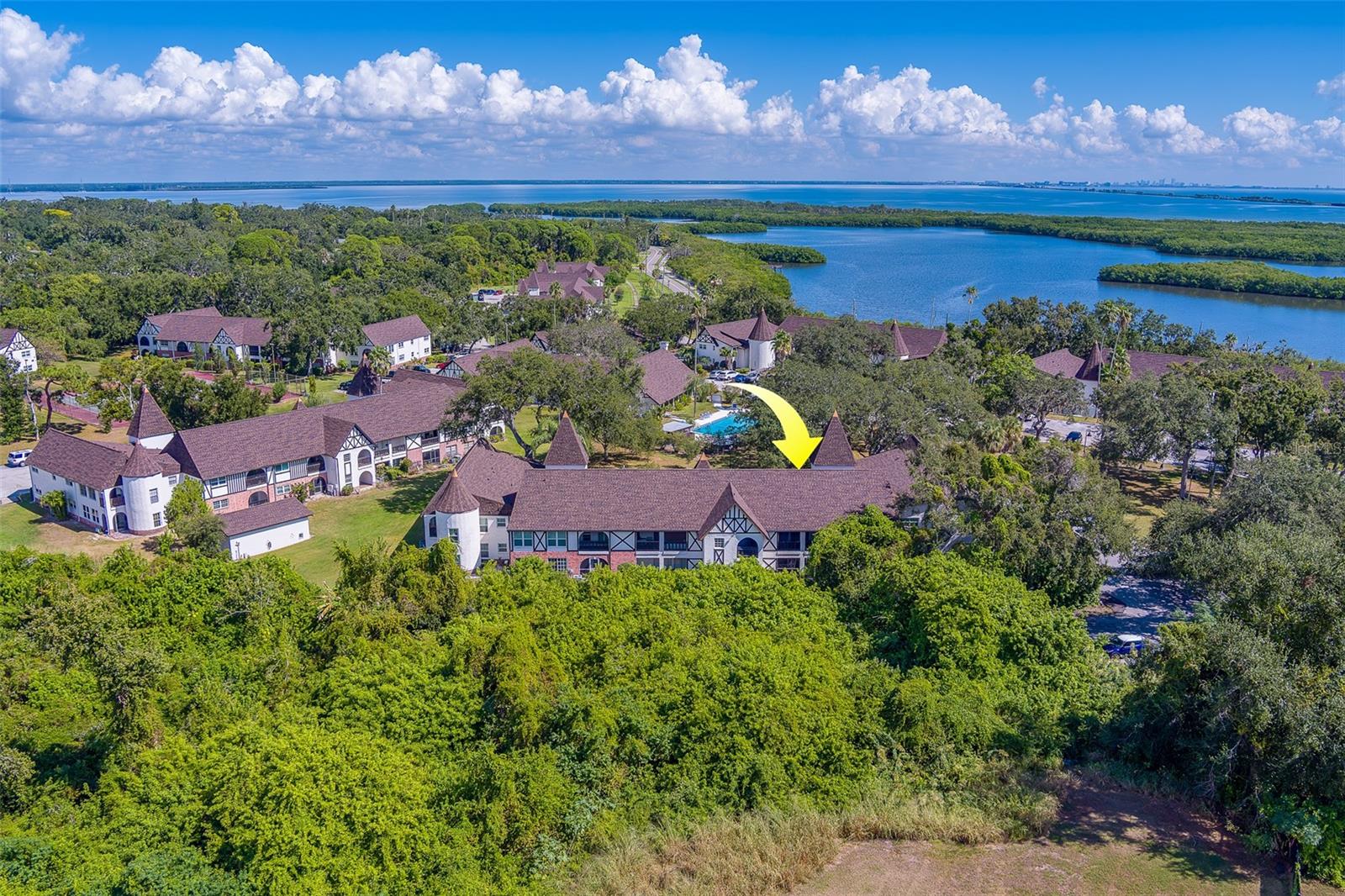 Image 31 of 42 For 240 Bayshore Boulevard 204