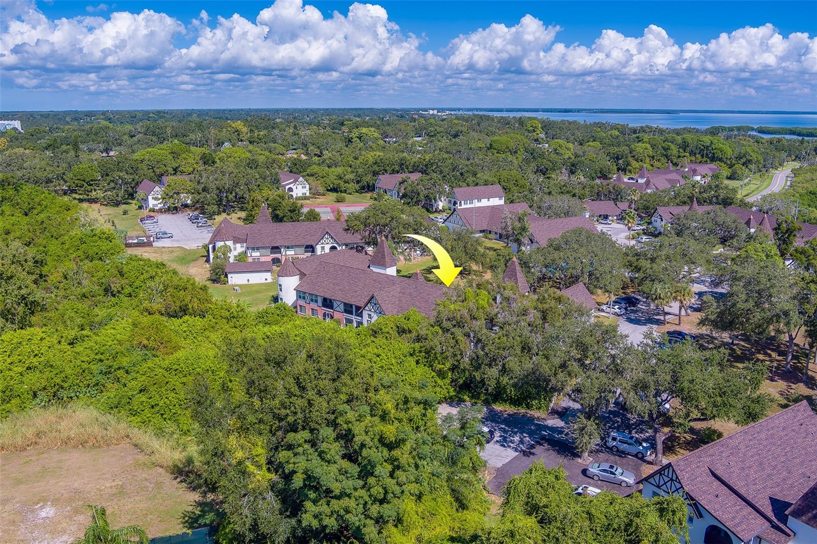 Image 32 of 42 For 240 Bayshore Boulevard 204