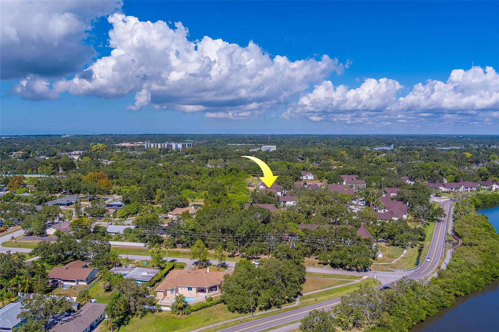 Image 33 of 42 For 240 Bayshore Boulevard 204