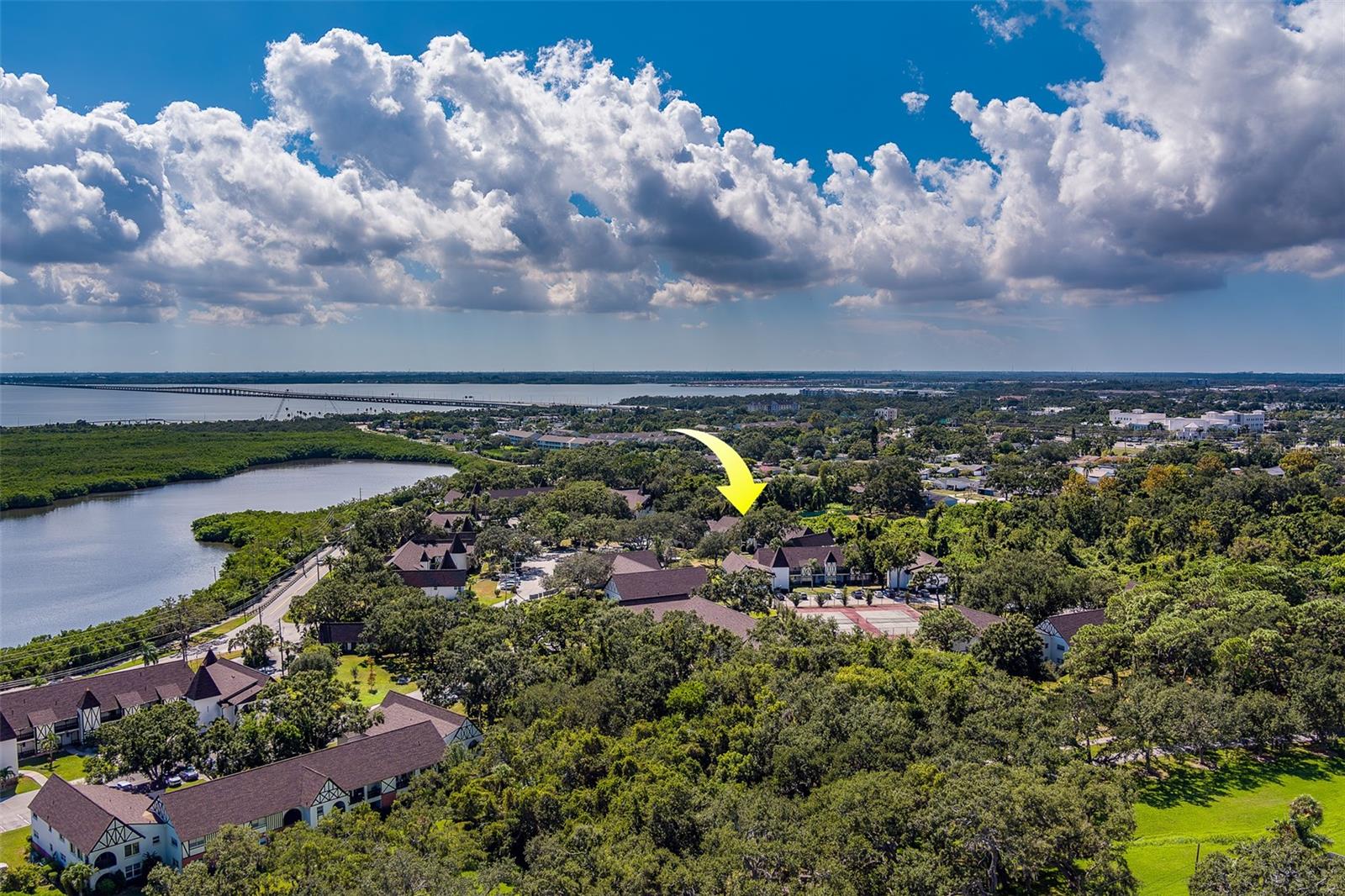 Image 34 of 42 For 240 Bayshore Boulevard 204