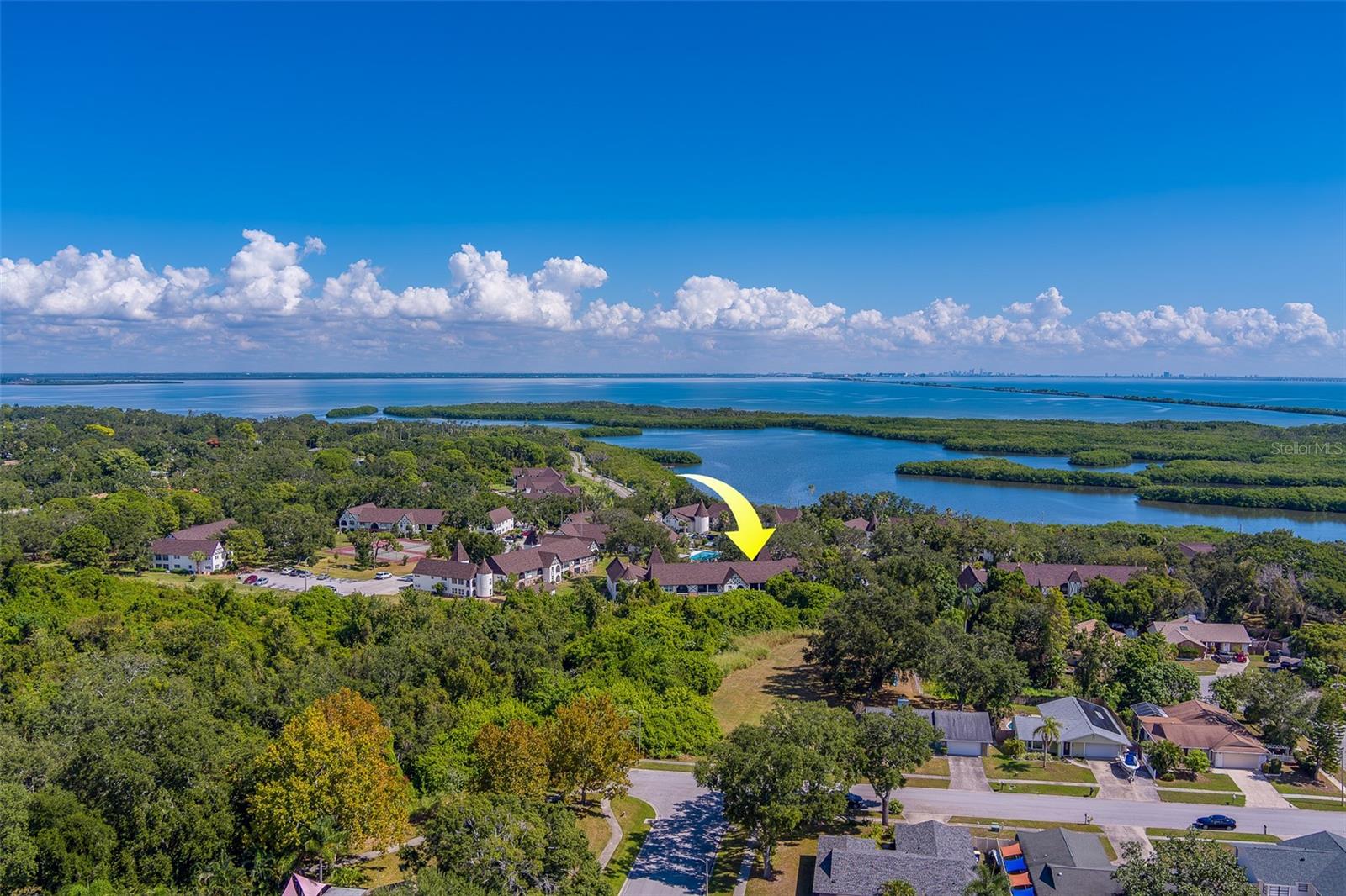 Image 35 of 42 For 240 Bayshore Boulevard 204