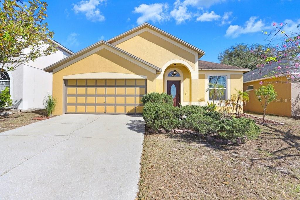 Details for 919 Grand Canyon Drive, VALRICO, FL 33594