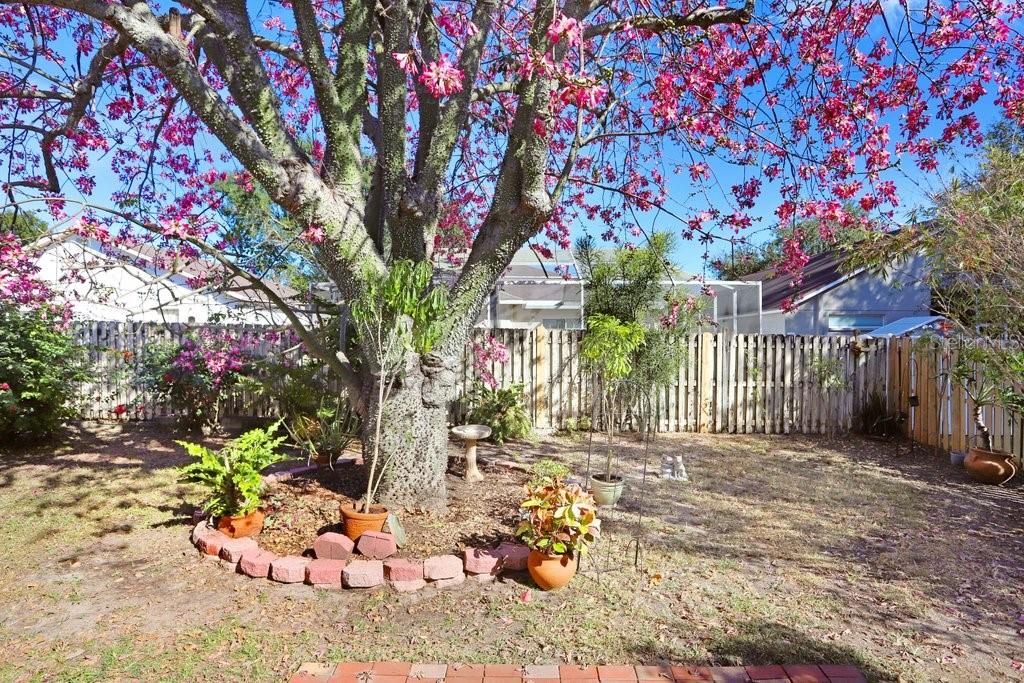 Image 28 of 38 For 919 Grand Canyon Drive