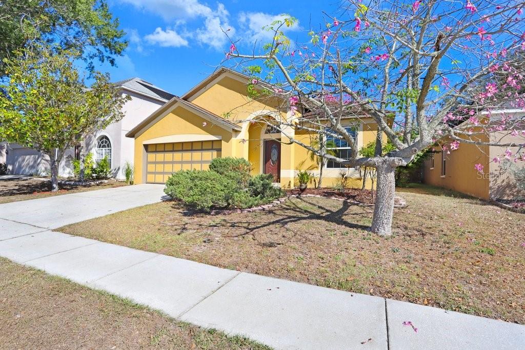 Image 33 of 38 For 919 Grand Canyon Drive