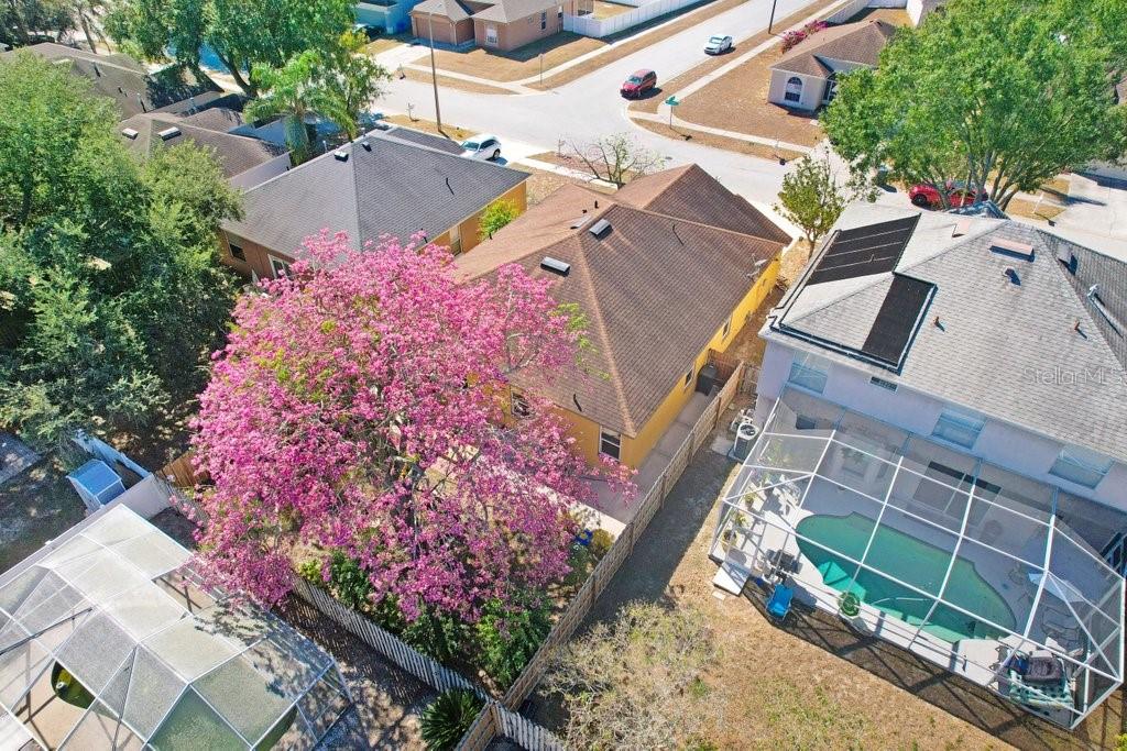 Image 35 of 38 For 919 Grand Canyon Drive