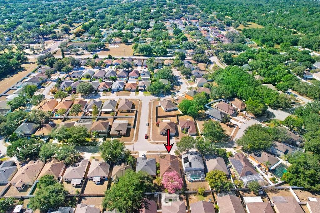 Image 37 of 38 For 919 Grand Canyon Drive