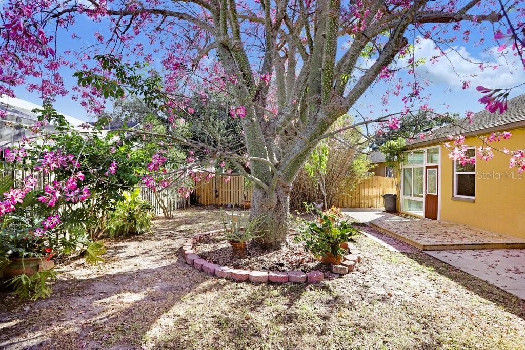 Image 6 of 38 For 919 Grand Canyon Drive