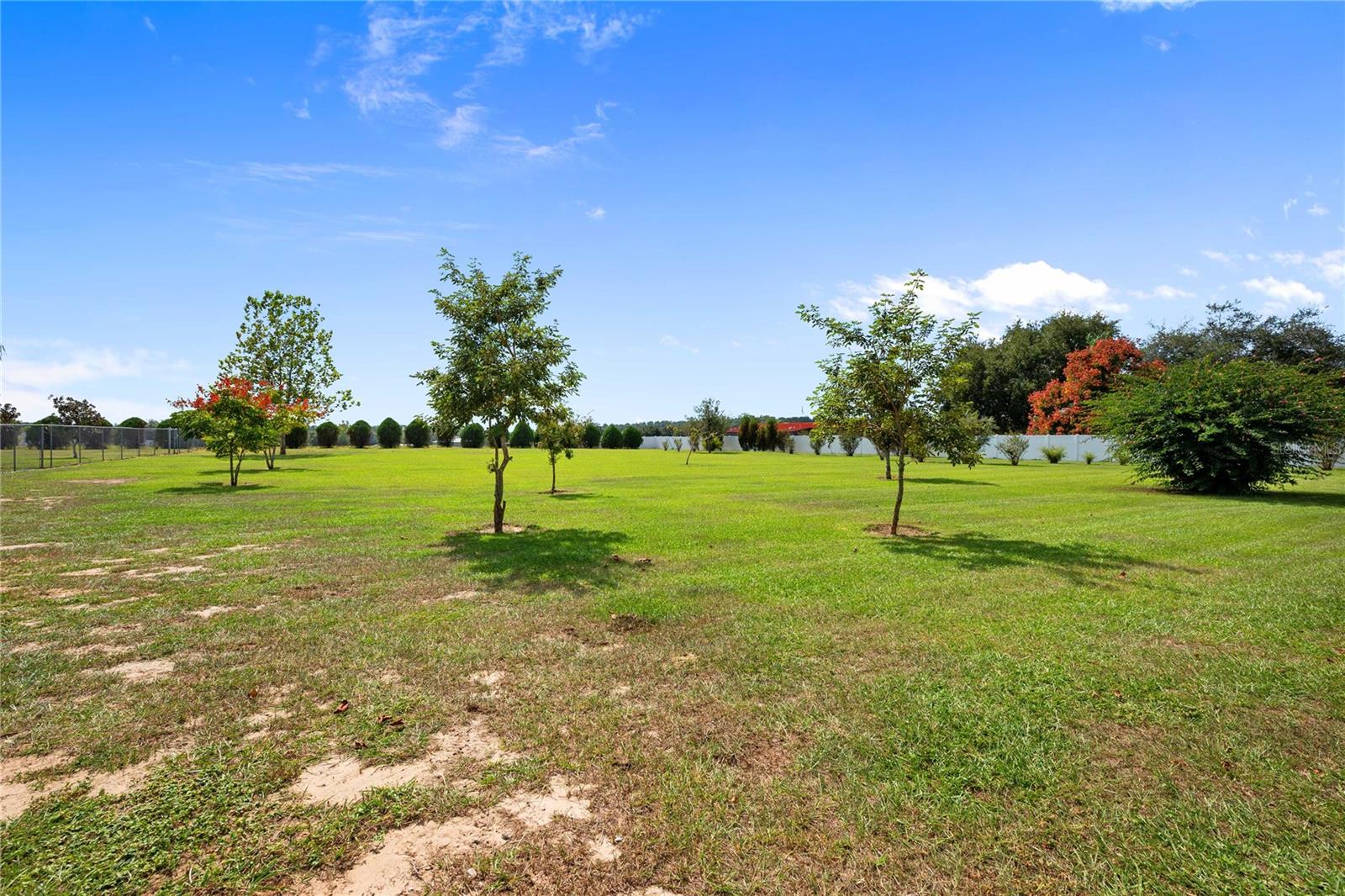 Image 73 of 75 For 10314 Lamson Road