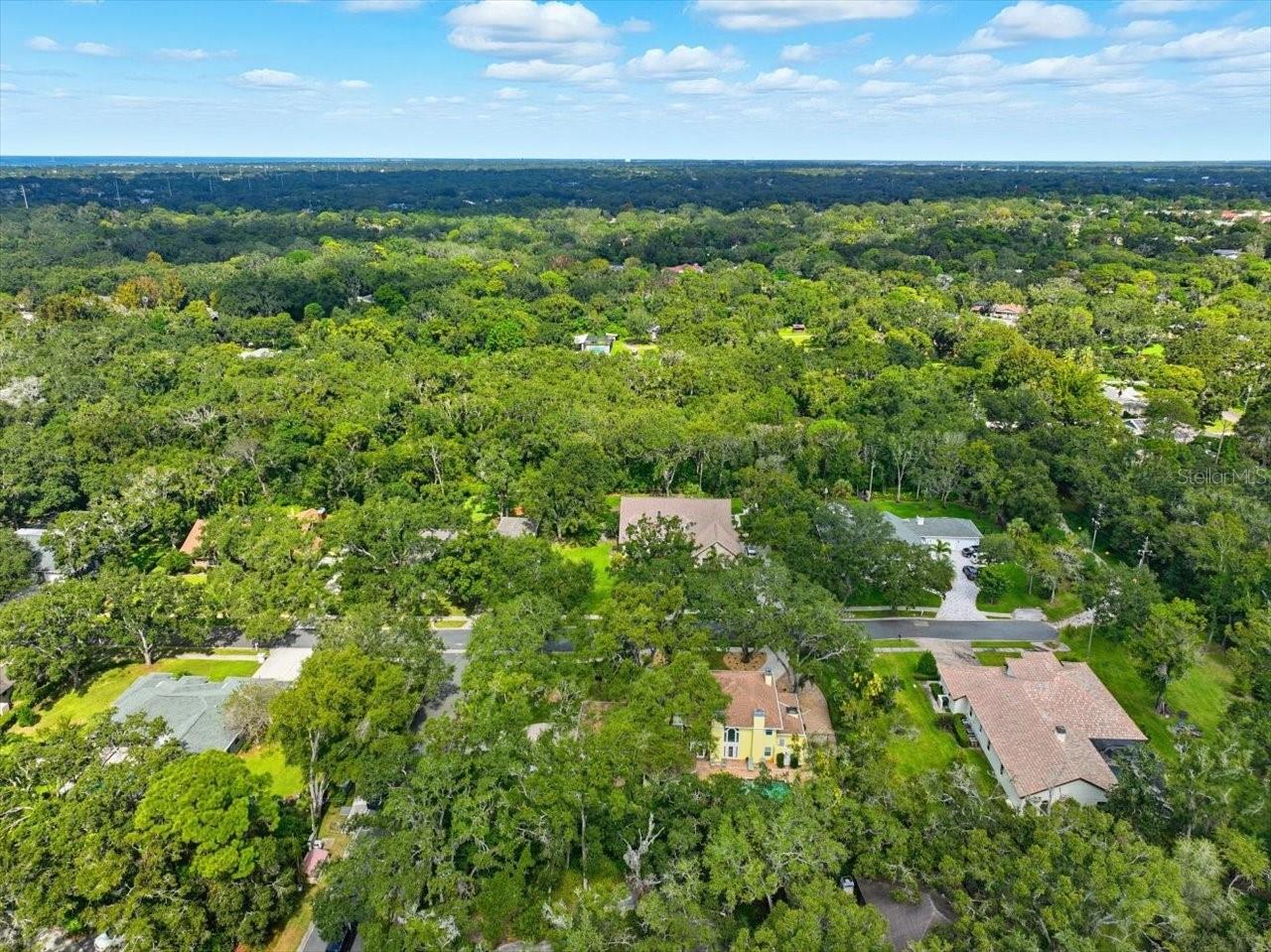 Image 89 of 99 For 2035 Indian Creek Court