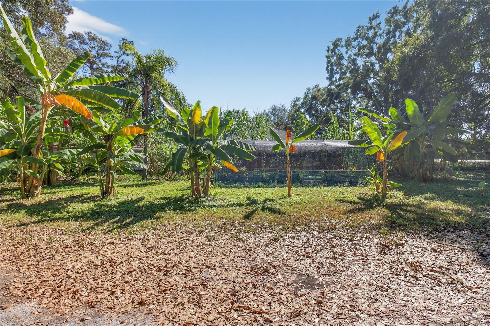 Image 16 of 82 For 2014 58th St