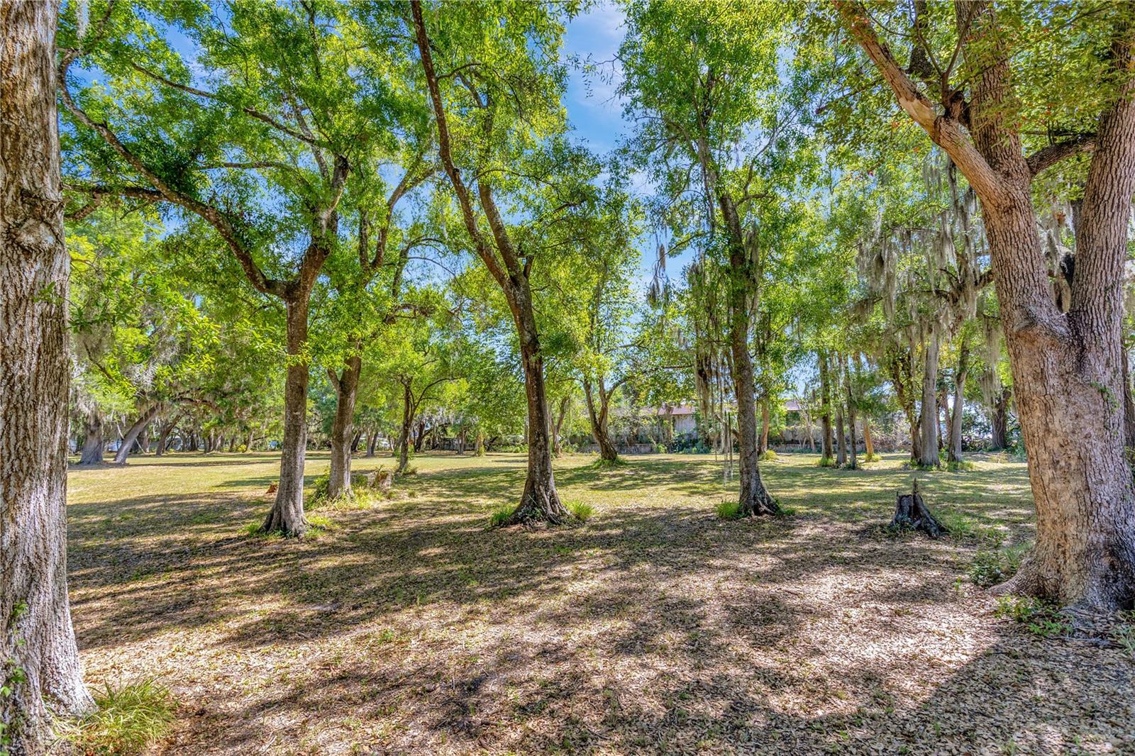 Listing photo id 10 for 5501 37th Street