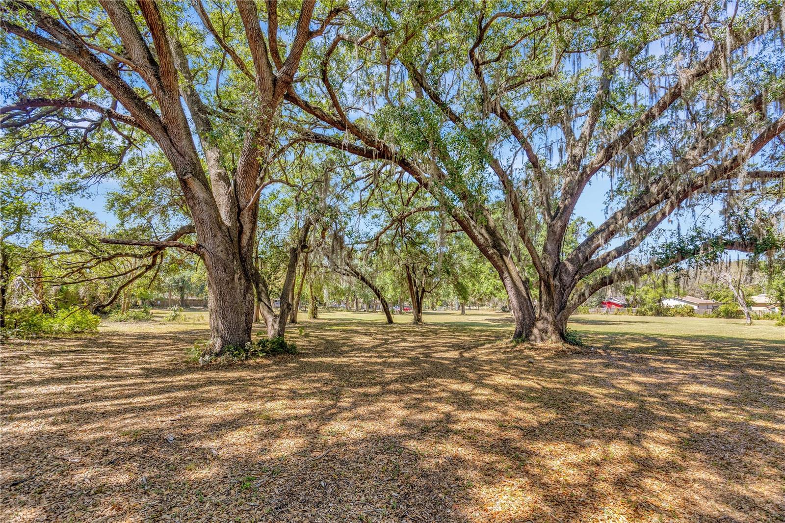 Listing photo id 6 for 5501 37th Street