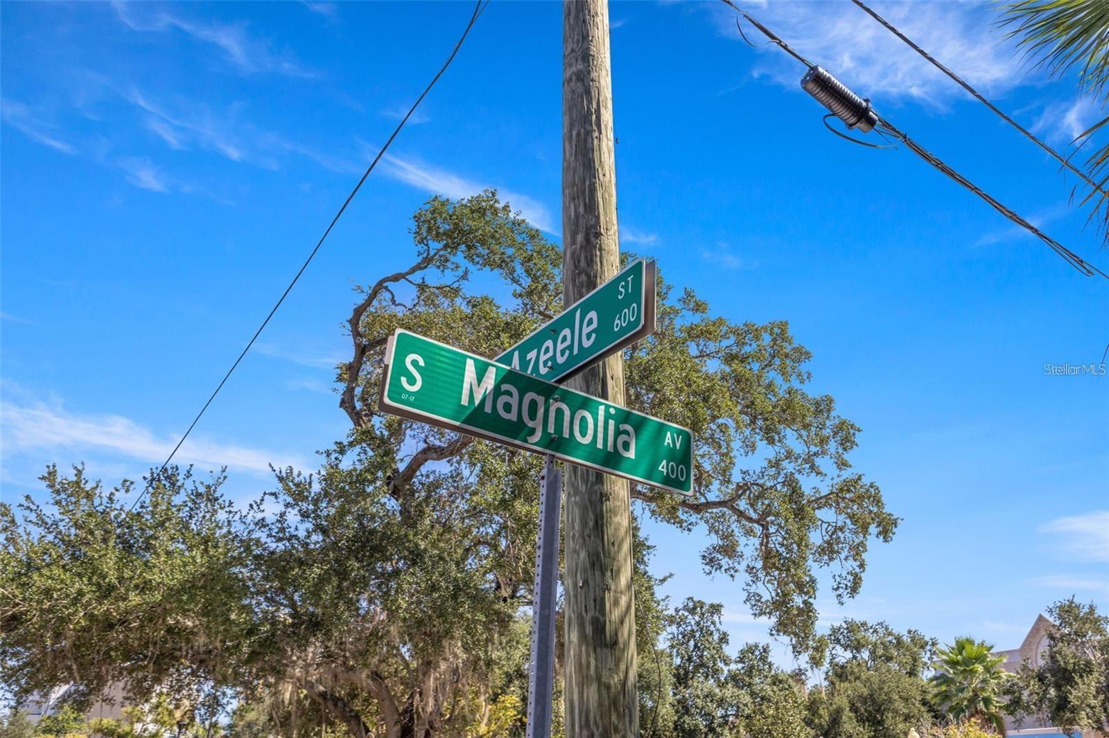 Image 37 of 54 For 609 Azeele Street