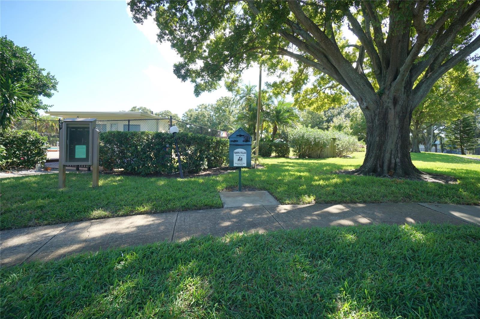 Image 11 of 23 For 4515 La Capri Court