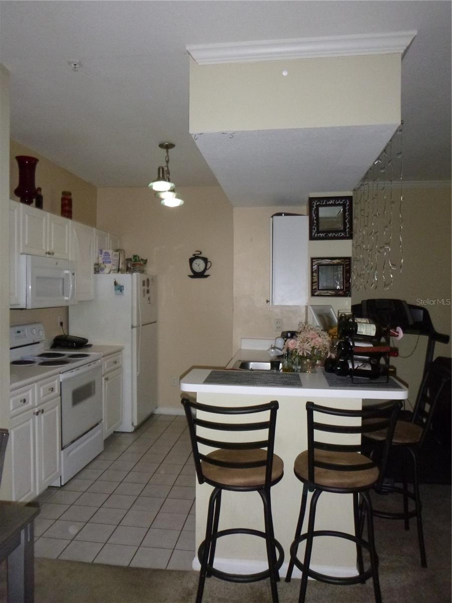 Image 5 of 15 For 14226 Fredricksburg Drive 206