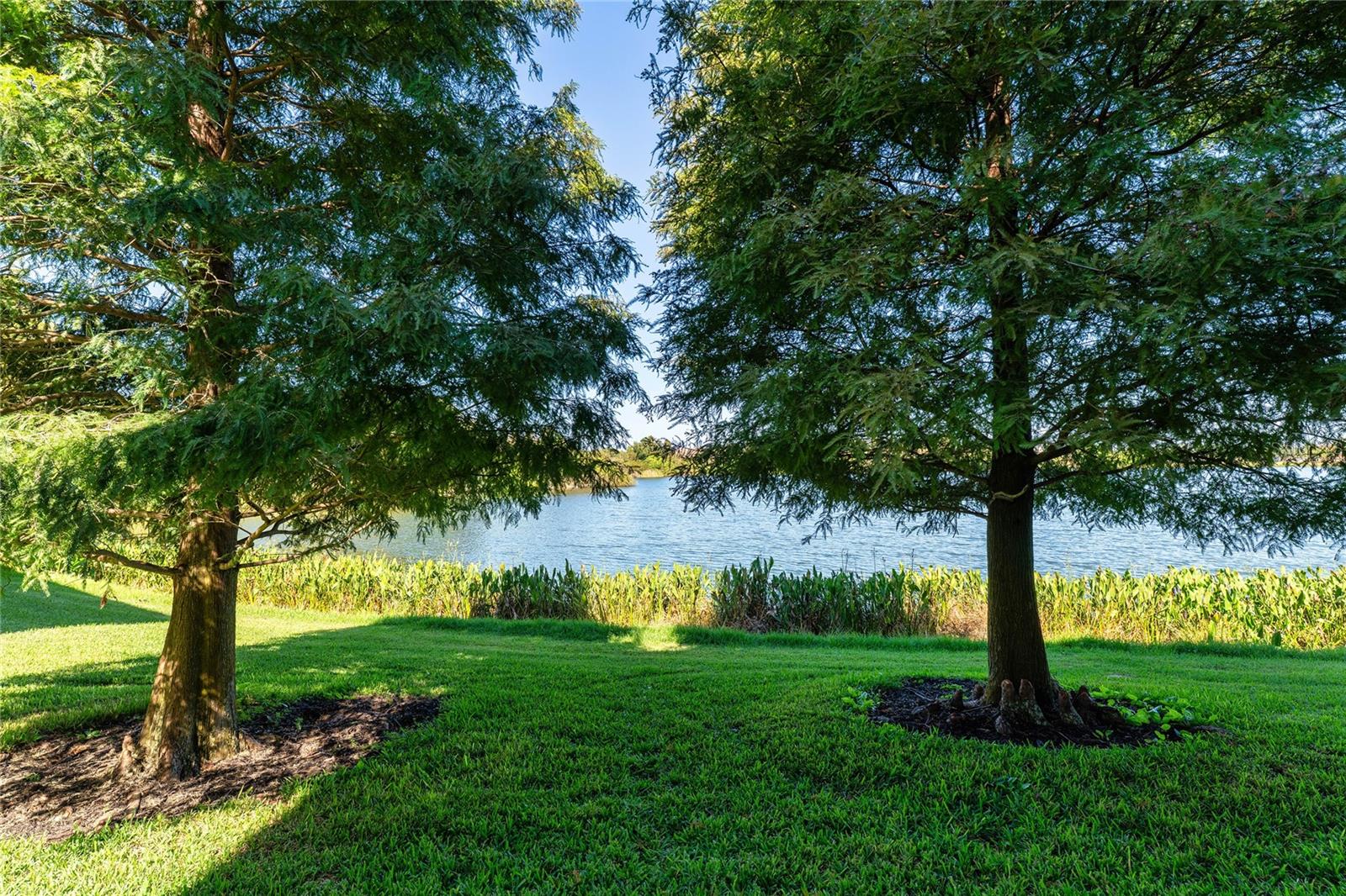 Image 43 of 52 For 2435 Lexington Oak Drive