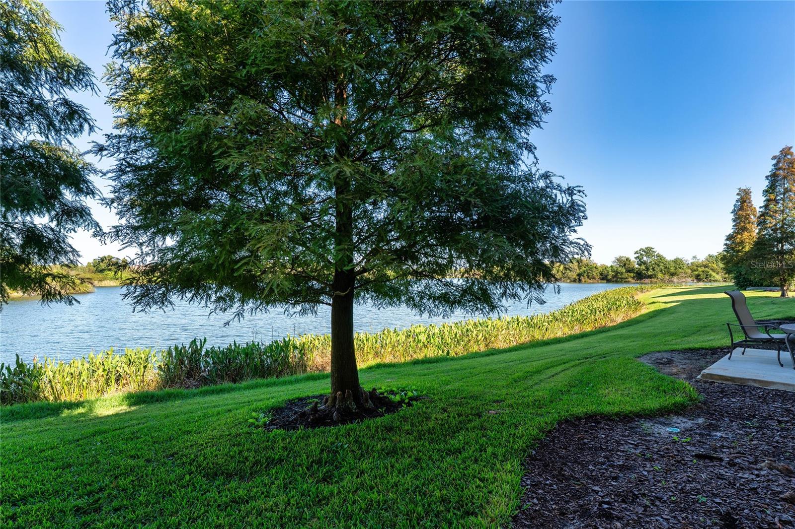 Image 44 of 52 For 2435 Lexington Oak Drive