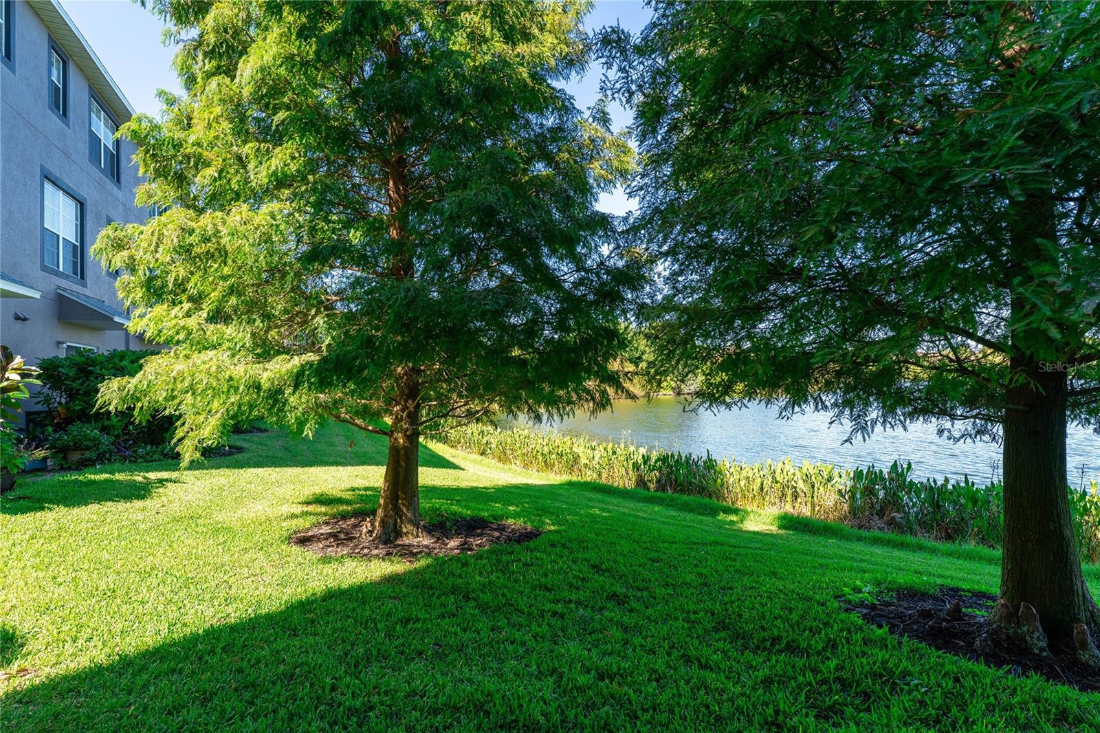 Image 45 of 52 For 2435 Lexington Oak Drive