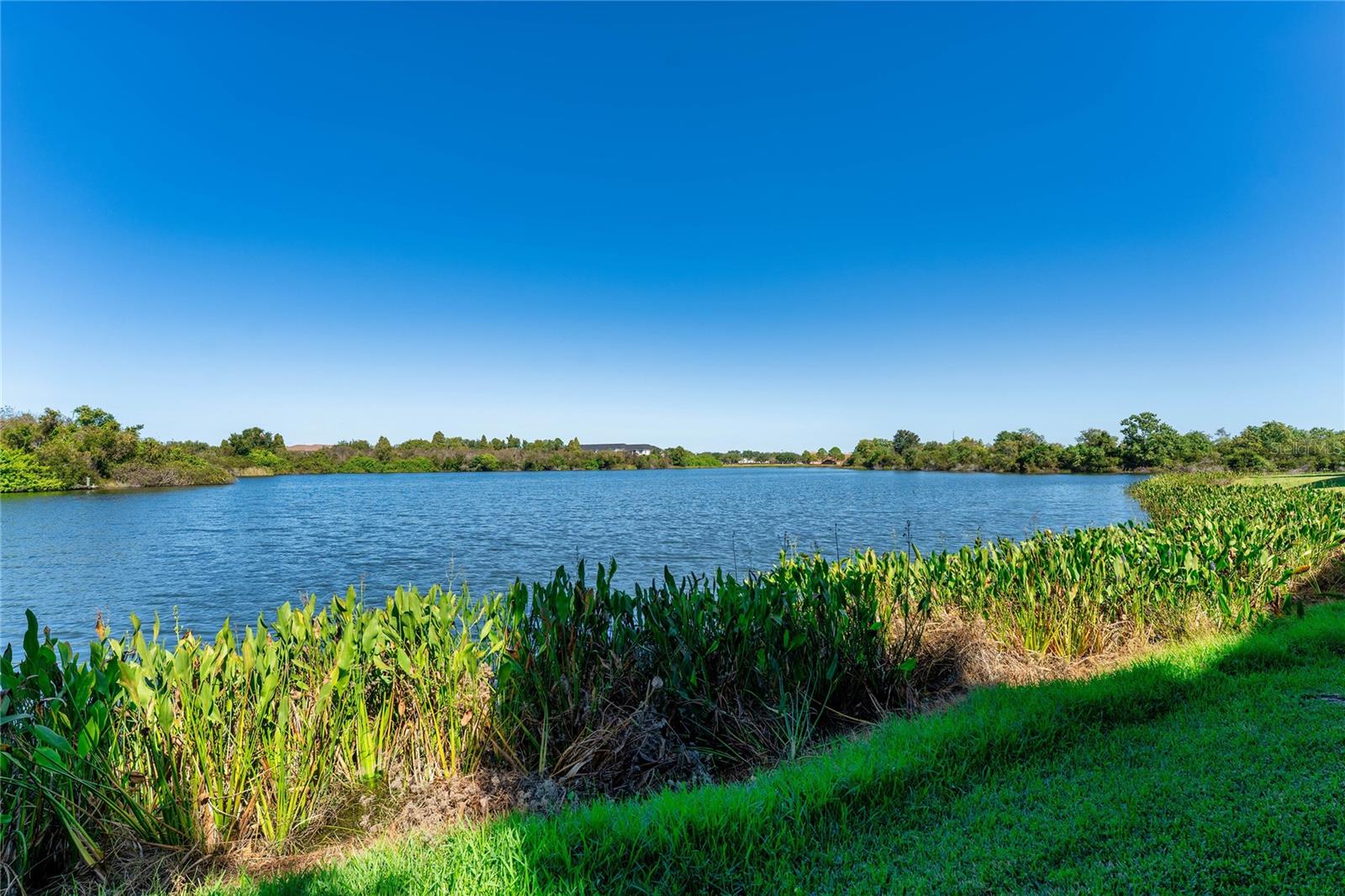 Image 46 of 52 For 2435 Lexington Oak Drive