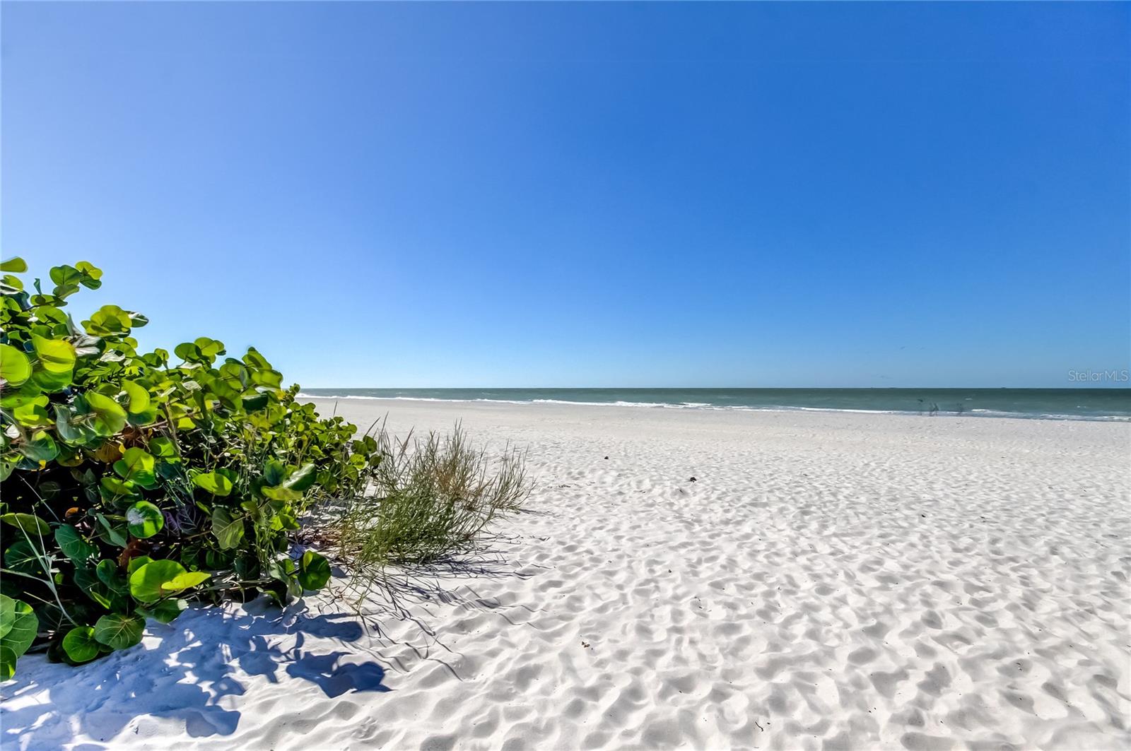 Image 46 of 48 For 19530 Gulf Boulevard 5b