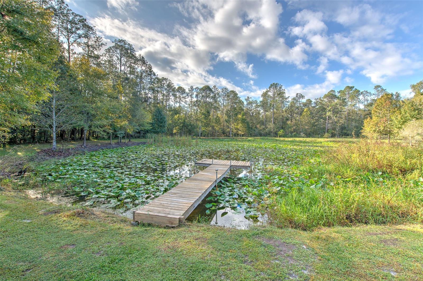 Image 45 of 64 For 37902 Springdale Road