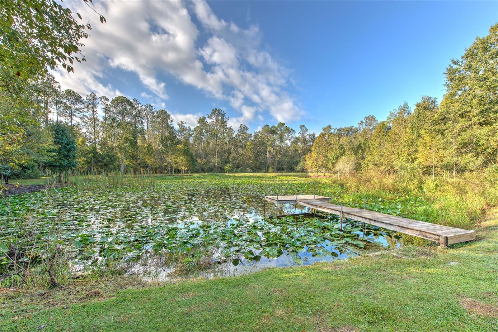 Image 46 of 64 For 37902 Springdale Road